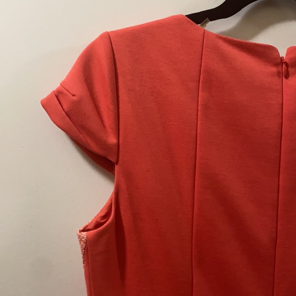 Tahari Tweed Dress - Picture 9 of 12